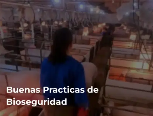 Biosecurity Best Practices